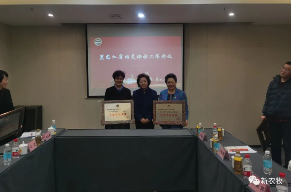 1646212216894059.png 11.png