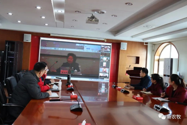 1646212282787728.png 13.png