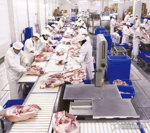 1648013285549854.png 2.png